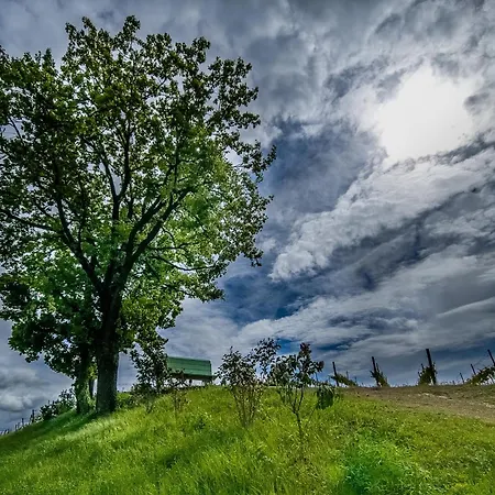 Ferienhaus Small House Monferrato